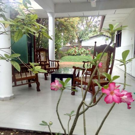 Ceylon Hostel-Galle ウナワトゥナ エクステリア 写真
