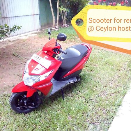 Ceylon Hostel-Galle ウナワトゥナ エクステリア 写真