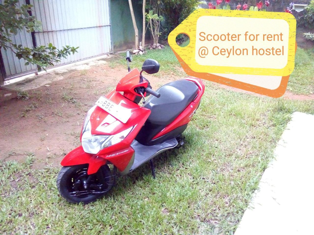 Ceylon Hostel-Galle ウナワトゥナ エクステリア 写真