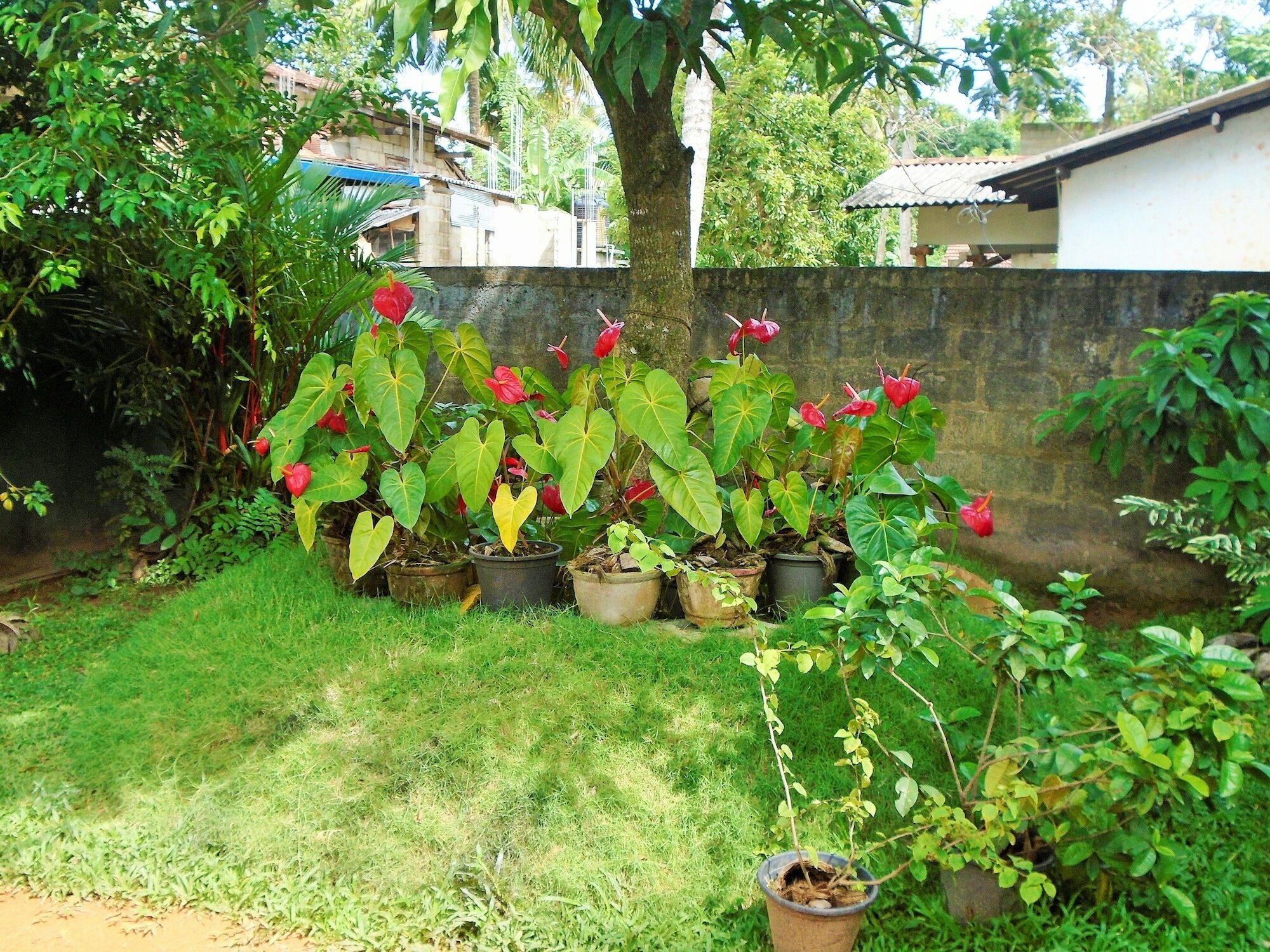 Ceylon Hostel-Galle ウナワトゥナ エクステリア 写真